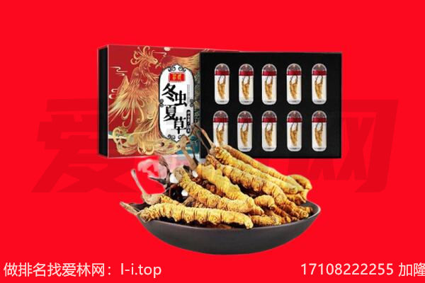新邵县回收虫草.jpg
